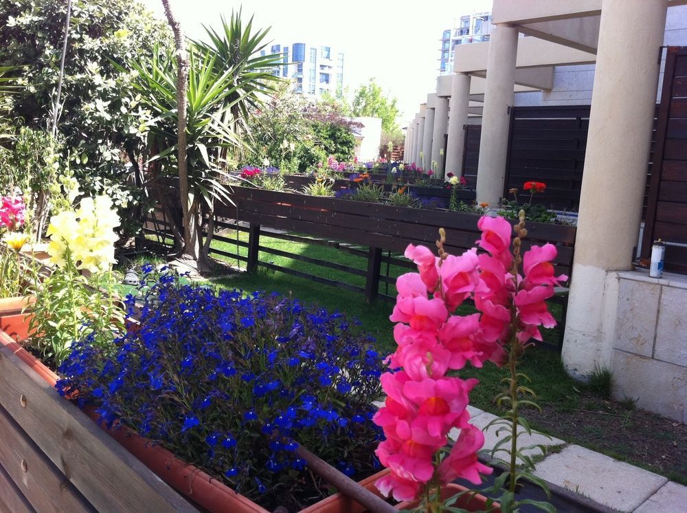 Apartment Nomi Herzliya