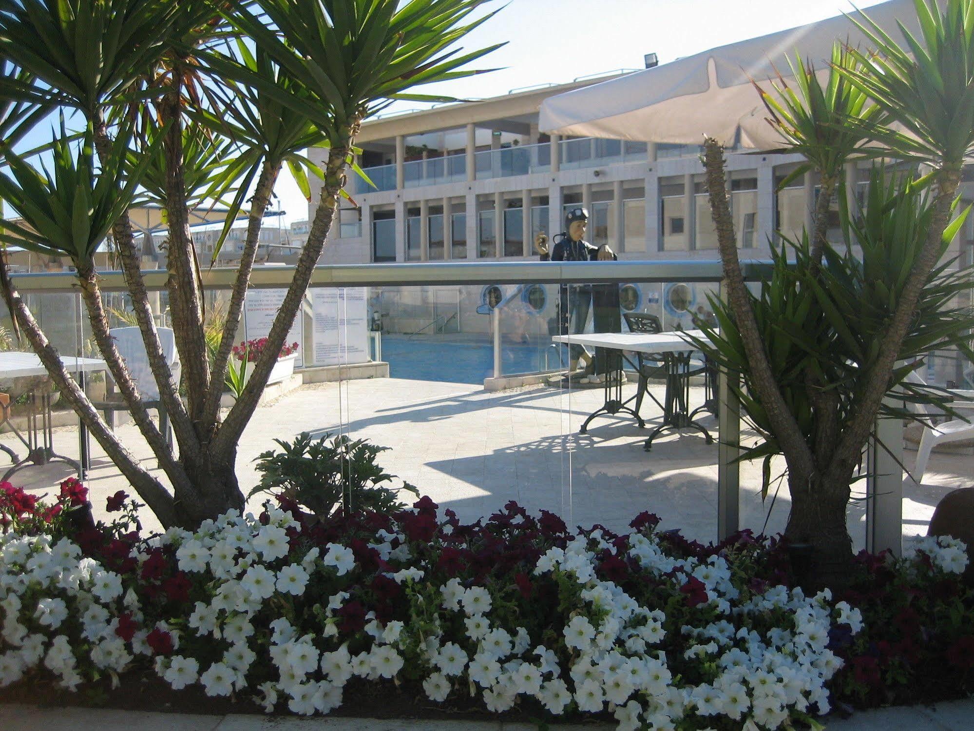Nomi * Herzliya